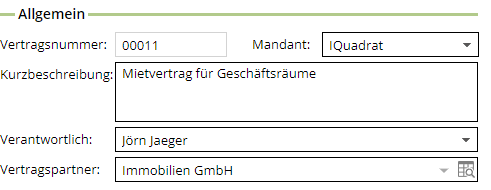 ../_images/anwender-vertragsdaten.png